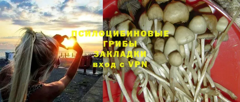 Псилоцибиновые грибы MAGIC MUSHROOMS  MEGA ONION  Поронайск 